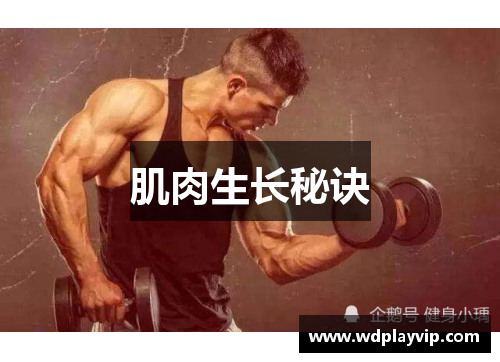 肌肉生长秘诀